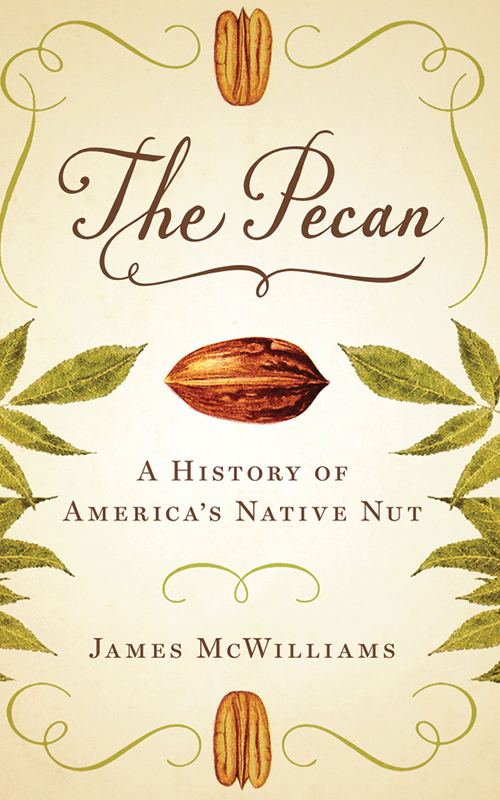 Book cover of The Pecan